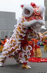 leeuwendans Chinees nieuwjaar Rotterdam 2007